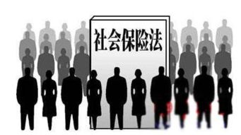 2011年社会保险法补充,关于2011年7月之前交社保