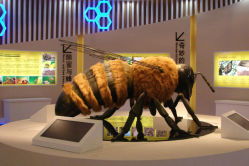 中国蜜蜂博物馆,探秘中华蜜蜂博物馆：感受蜜蜂的神奇世界，领略中华文化的深厚底蕴