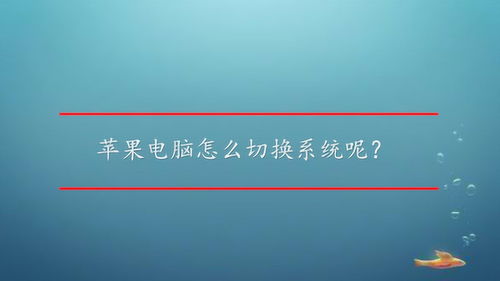 苹果电脑怎么切换系统呢 