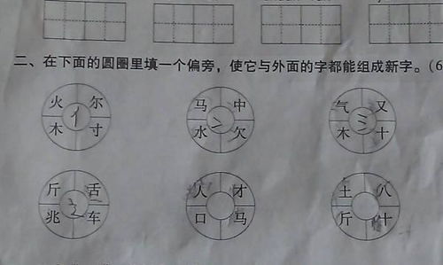 女加人是什么字 