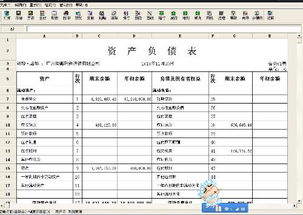 财务软件会计报表,财务软件轻松搞定会计报表，助力企业管理决策