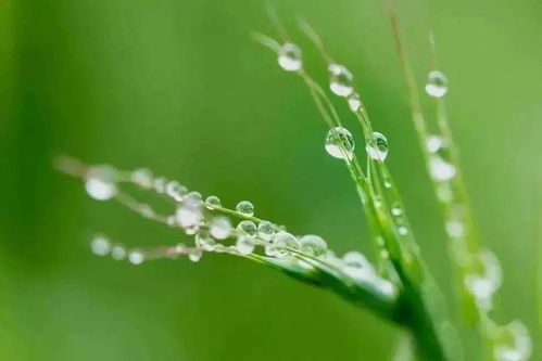 听一曲 微风细雨 ,等一场春暖花开