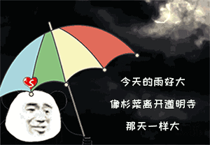 雨 雨 雨 重庆部分地方暴雨来袭,不过下雨天和ta最配