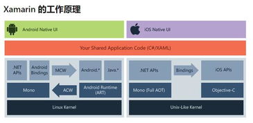 iosh5开发,怎么学习IOS开发，有前景吗？