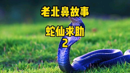 民间故事蛇仙求助2 