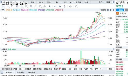 2021年七月份有哪十家上市公司的股票暴跌最厉害？