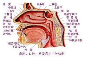 鼻咽癌的症状有哪些