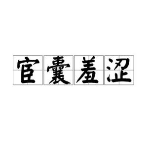 《宦囊羞涩》的典故,宦囊羞涩的由来与演变