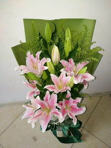 同事过生送什么花,同事生日送什么花，适合送同事的花有哪些