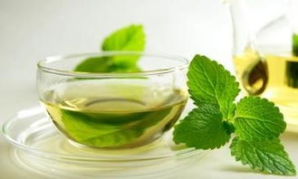 减肥绿茶 喝绿茶可以减肥吗