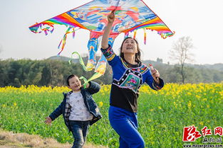 麻阳县 油菜花开春意盛 组图