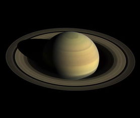 土星逆行 哪些星座压力最大 