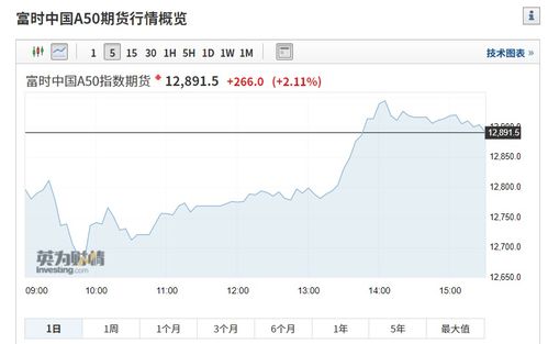 一个股是期货 暗黑币是什么意思