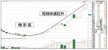 主力完全控盘后002024股票该怎样走