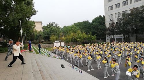 湖南智能停车场厂家,鼎兴天玺汇装修情况及项目介绍