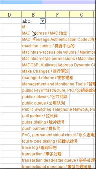 自动筛选的快捷健是什么 