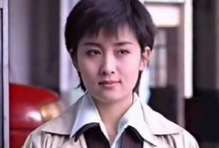 李亚鹏退出娱乐圈 90年代内地偶像明星现状 图 