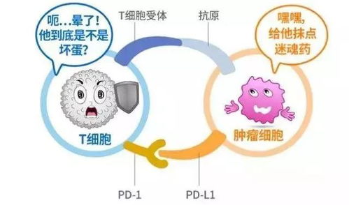 肿瘤治疗效果和营养补充关系密切,营养摄入不足,效果也不及预期