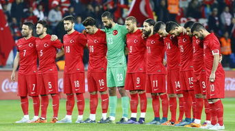 土耳其vs丹麦直播,土耳其VS冰岛，怎么看，预测会平局吗？