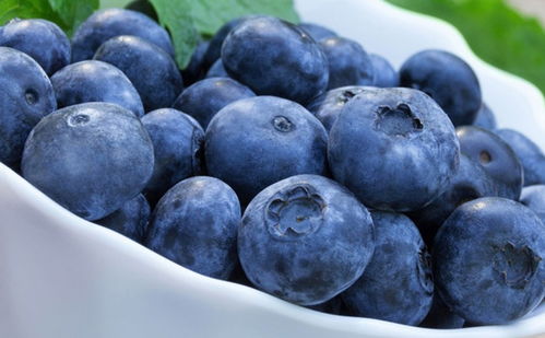 蓝莓的皮能吃吗 吃蓝莓要剥皮吗