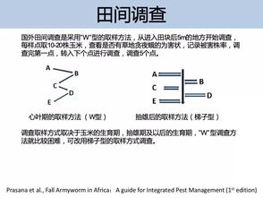 草地贪夜蛾识别 发生规律与监测手册