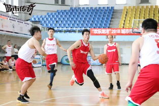 今天辽宁篮球比赛直播,辽宁体育频道在线直播高清