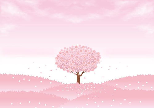 超过 3000 张关于 樱桃树 和 樱花 的免费图片 