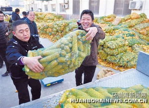 汉沽警方破获系列盗窃粮食案缴获被盗粮食25吨图