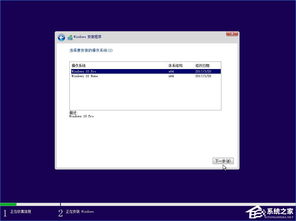 win10想执行哪种类型的安装