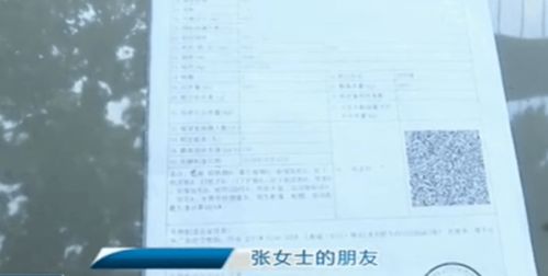  富邦车保险保单查询官网 天富平台