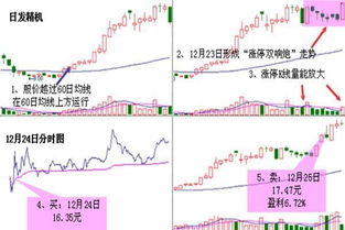 双响炮股票代号是什么