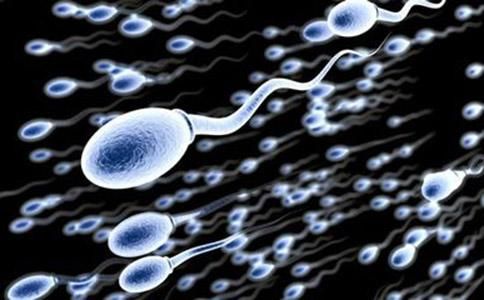 畸形精子 精子畸形率高是什么原因导致的