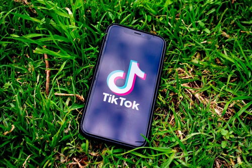 tiktok在线解析下载_TikTok广告代理商
