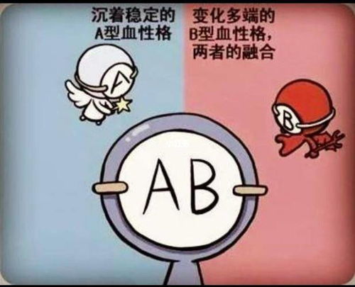 健康受血型影响吗 A型 B型 O型 AB型血,哪种血型不易得病