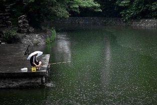 下雨天能去钓鱼么 有什么危险么 