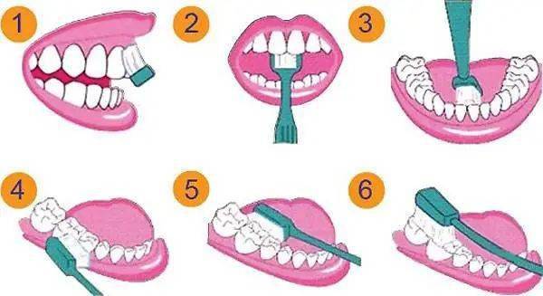 从小养成刷牙习惯 一生乐享健康生活