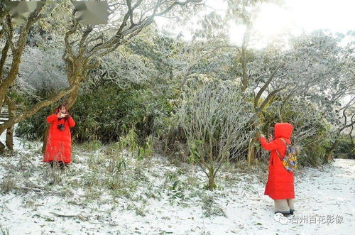 雪后天台华顶山,仿佛人间仙境