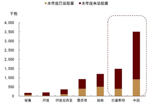 usdt国外兑现,USDT的国外变现方式 usdt国外兑现,USDT的国外变现方式 快讯