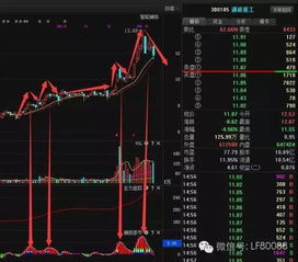 股票分析100个技巧