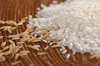 黑龙江五常大米与其它大米有什么不同 