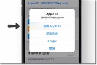 怎样把iPhone的app store换成中文字体 