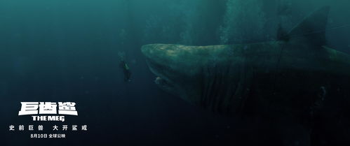 有巨齿鲨的电影,巨齿兽:是银幕上巨大的史前兽。