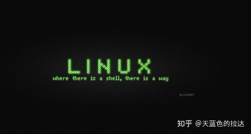 linux的开发工具有哪些,linux常用开发工具