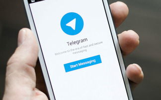 telegeram纸飞机动漫聊天app（Telegram纸飞机怎么加人） 第1张