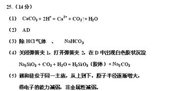 某同学为了验证碳和硅两种元素非金属性的相对强弱 