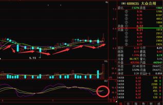 大众公用600635后势如何？