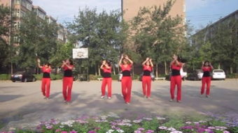广场舞卓玛2012年视频,卓玛广场舞很受欢迎