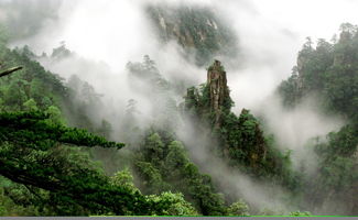 打卡天然氧吧,德兴大茅山风景区游玩攻略