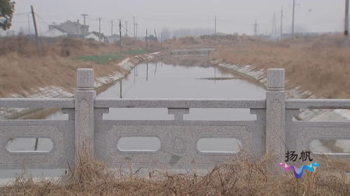 建设美丽乡村,扬州农村河道整治持续推进