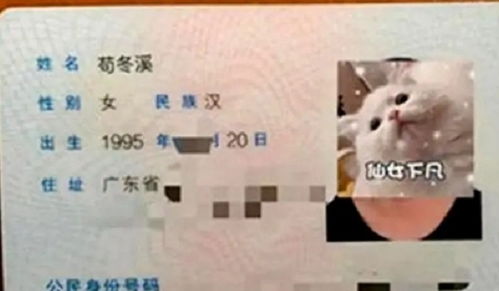 宝爸给女儿取名 冬溪 ,上课老师不敢点名,老师 不看看你姓啥